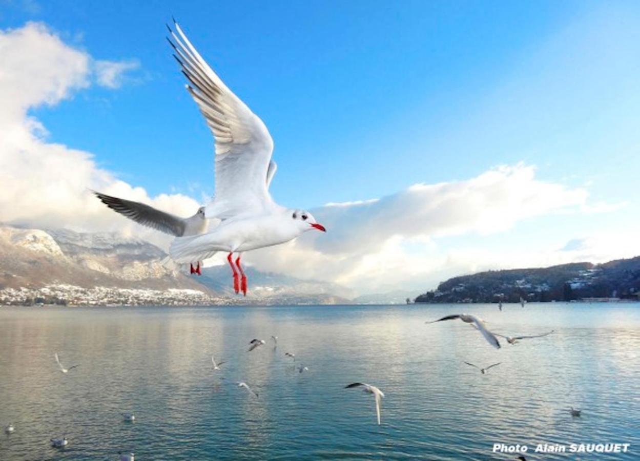Magic Moments Appartement Annecy Exterior foto